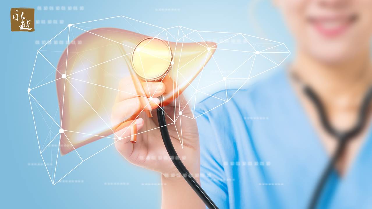 這樣看「肝」好不好| 永越健康管理中心